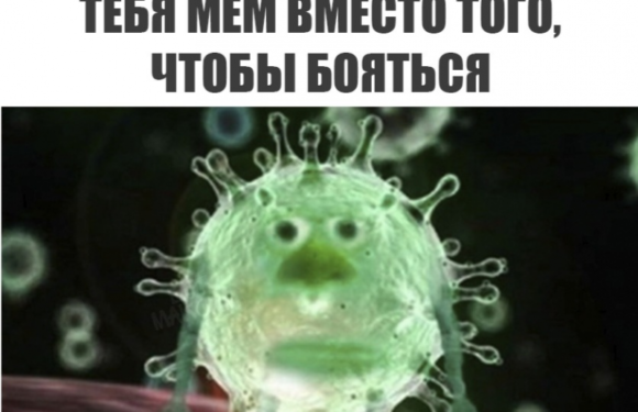 Вирусные тренды и мемы